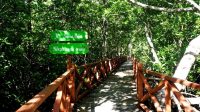 Taman Agrowisata Ursaguli Maluku