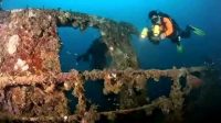 Spot Diving Sumatera Barat