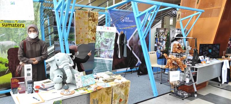 Bike Cats Festival Final05