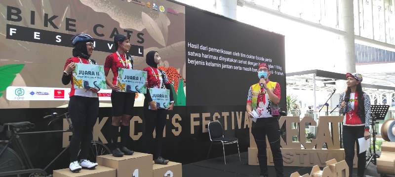 Bike Cats Festival Final08