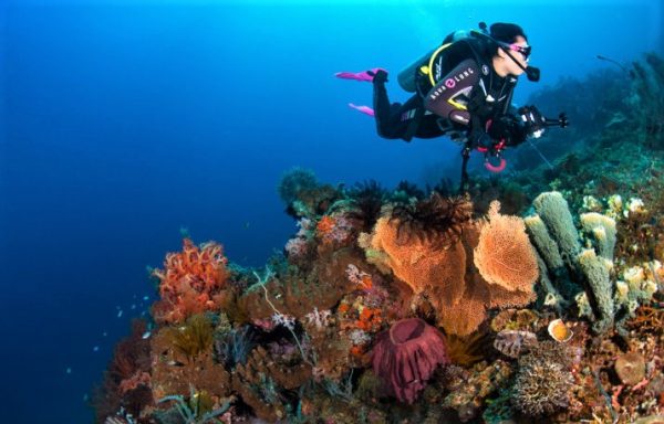 Menyelami Keindahan Bawah Laut Pulau Kodingareng Keke Makassar