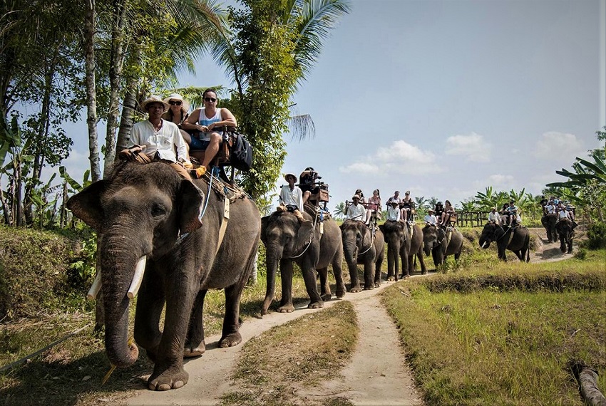 Naik Gajah di Desa Wisata Carangsari