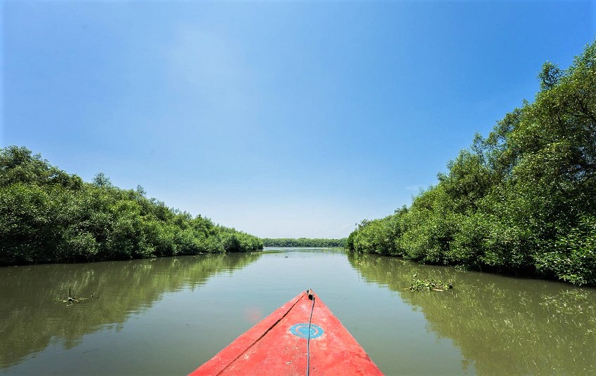 Ekowisata Mangrove Gunung Anyar