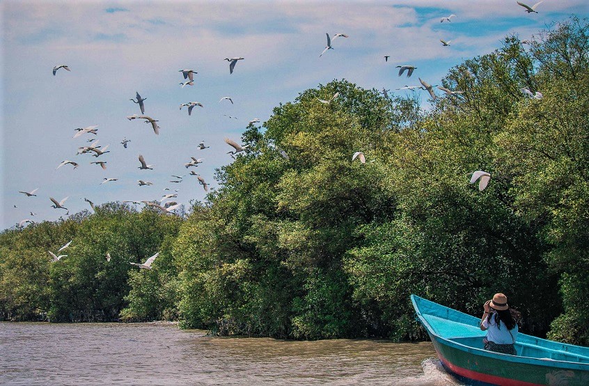 Ekowisata Mangrove Surbaya