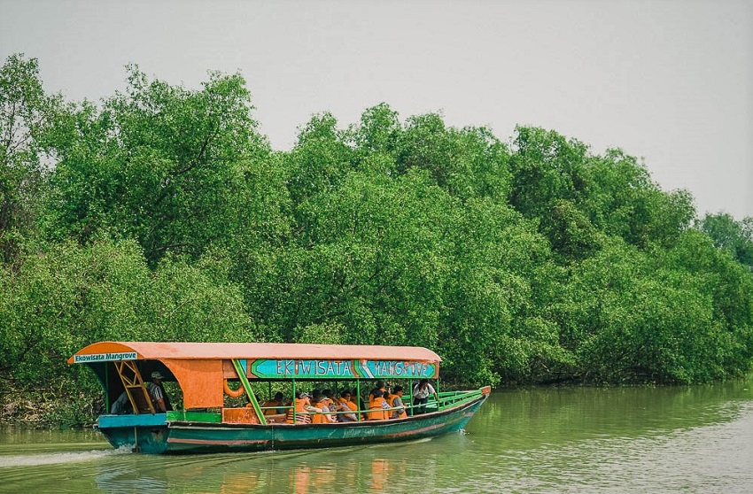Ekowisata Mangrove Surabaya