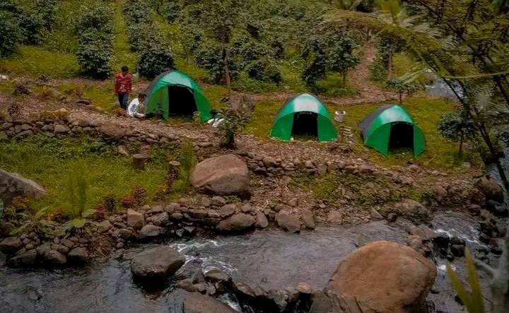 Hutan Pinus Rahong-3