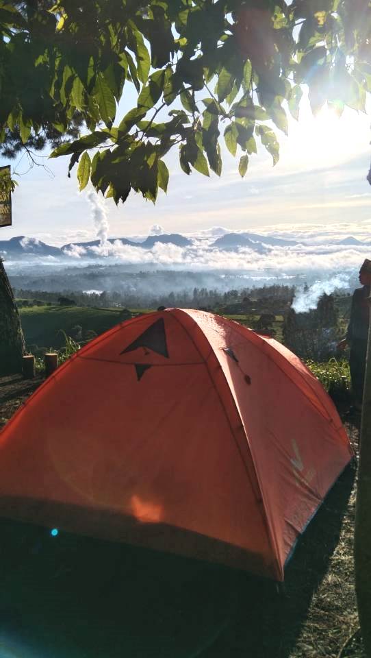 Hutan Pinus Rahong-5