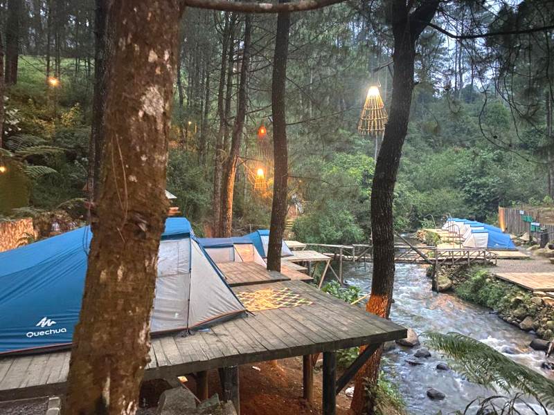 Hutan Pinus Rahong-6