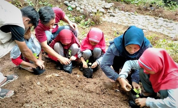 wisata peternakan anak