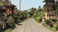 Desa Wisata Bongkasa