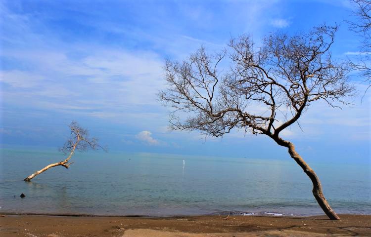 Pantai Tanjung Cirewang