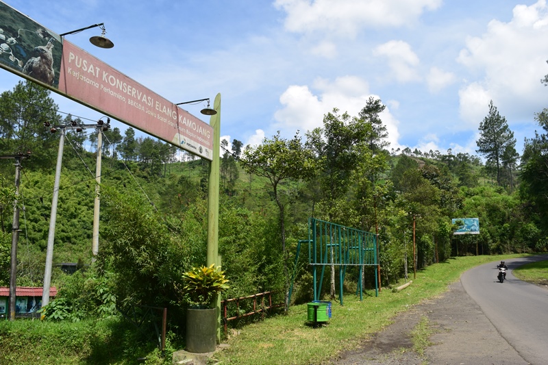 Pusat Konservasi Elang Kamojang