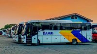 DAMRI Berikan Tarif Spesial