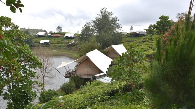 kawasan sejuk Ciwidey