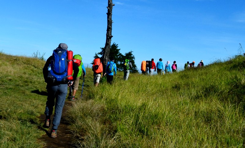 Mendaki Gunung