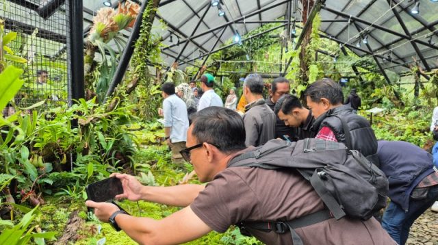 Rumah Kaca Nepenthes