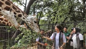 Pengunjung Taman Margasatwa Ragunan