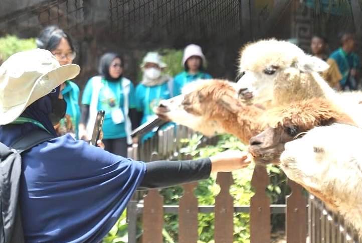 Piknik di Ragunan