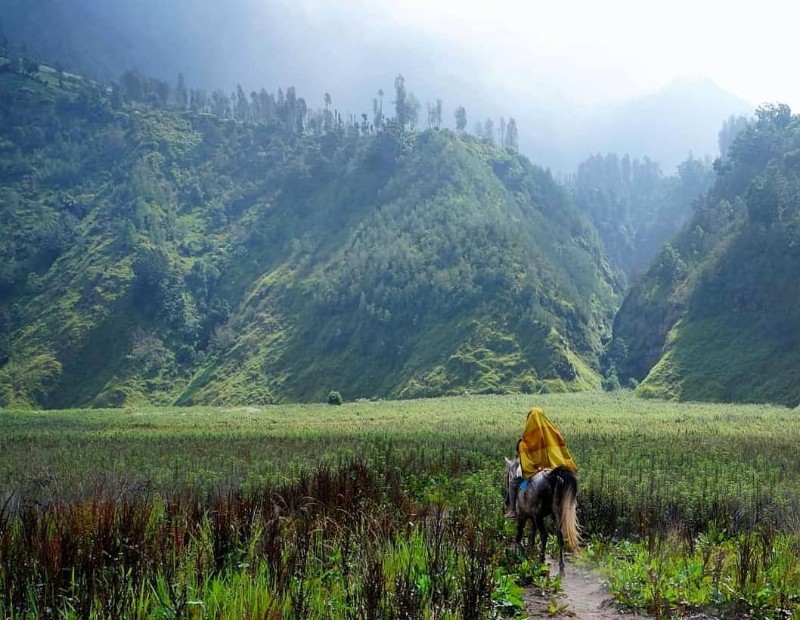 Wisata Kaldera Tengger