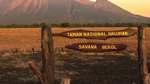 Hamparan Sabana