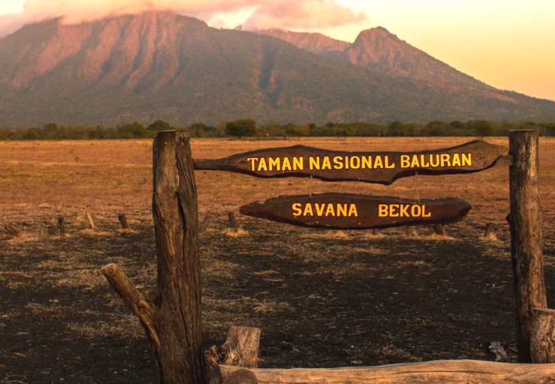 Hamparan Sabana
