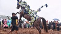 Cibogo Horse Festival 2025