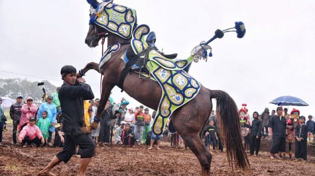 Cibogo Horse Festival 2025