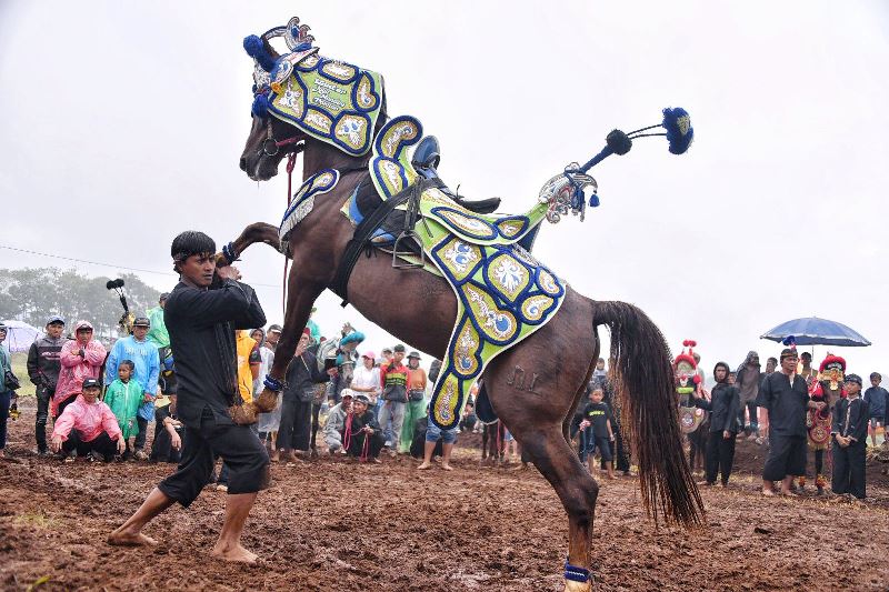 Cibogo Horse Festival 2025