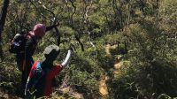 Pendakian Gunung Rinjani