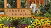 Pameran Flona