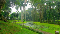 taman kota