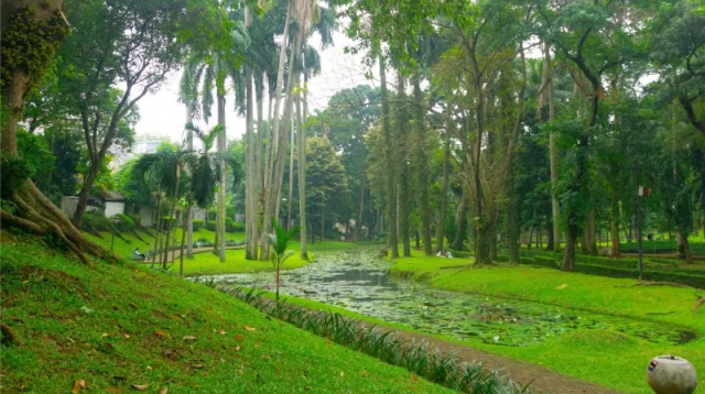 taman kota