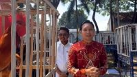 Kontes ayam pelung