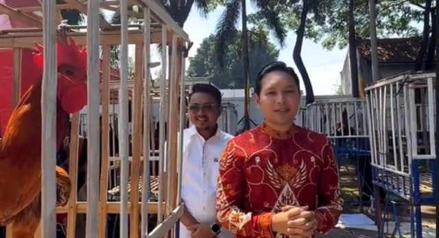 Kontes ayam pelung