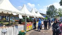 Bazar Gemar Ikan Bazar Gemar Ikan