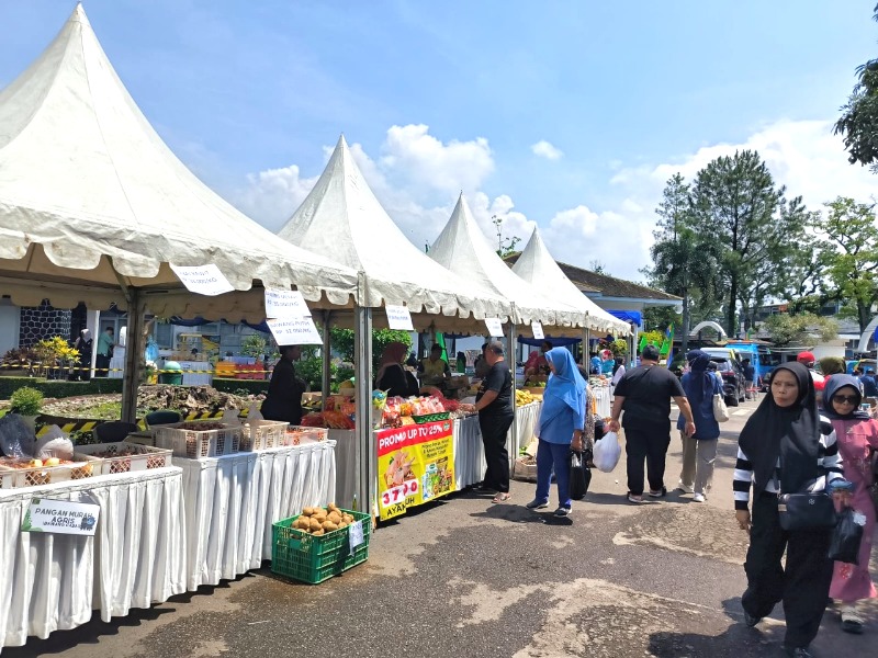 Bazar Gemar Ikan Bazar Gemar Ikan