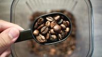 Kopi Robusta Empat Lawang