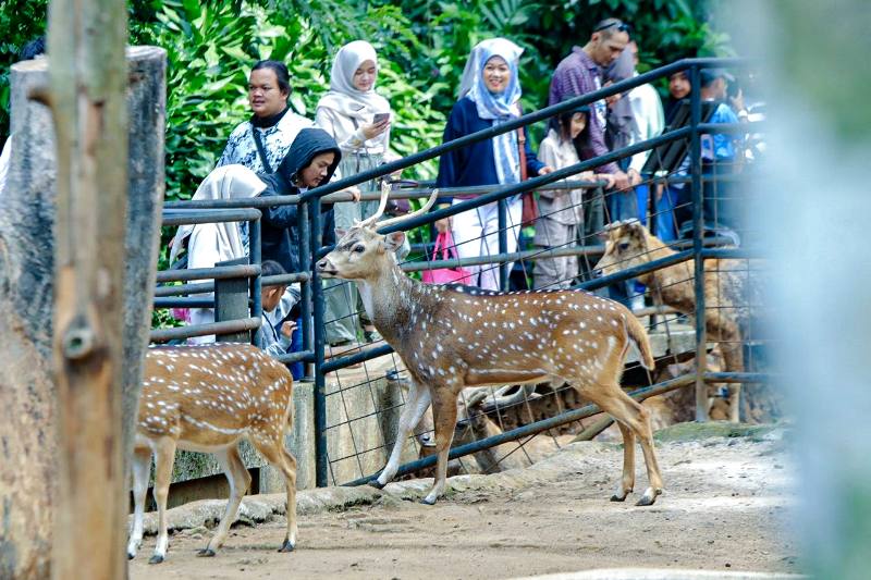 tutup sementara Kebun Binatang