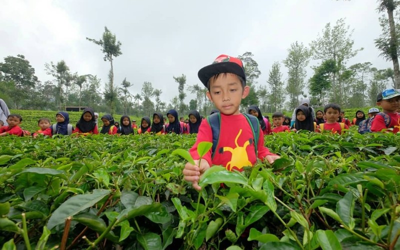 Agro Wisata Tambi