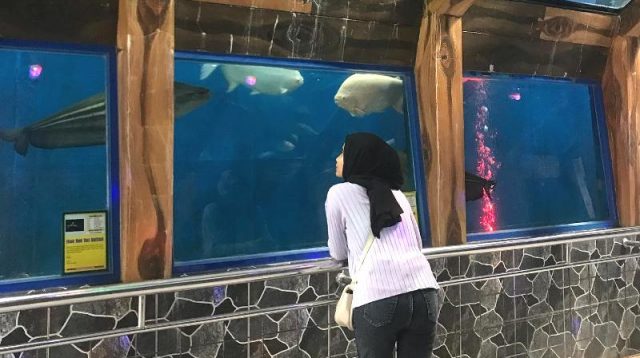 Taman Wisata Pendidikan