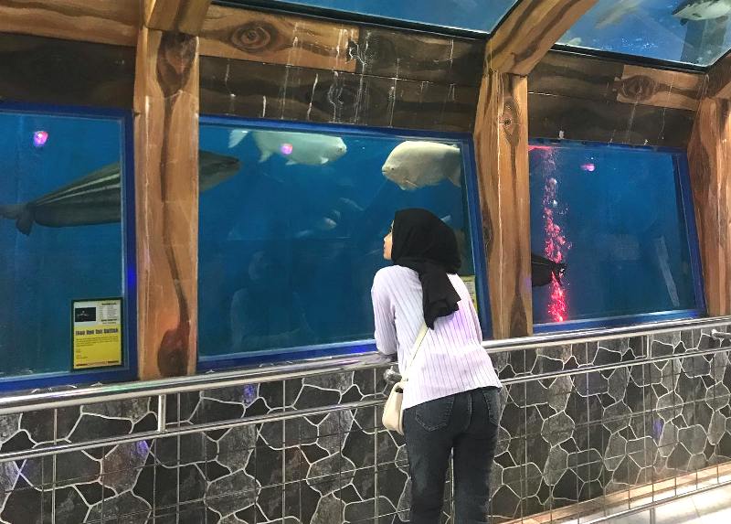 Taman Wisata Pendidikan