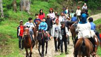 wisata kuda Kawasan Gunung Mas