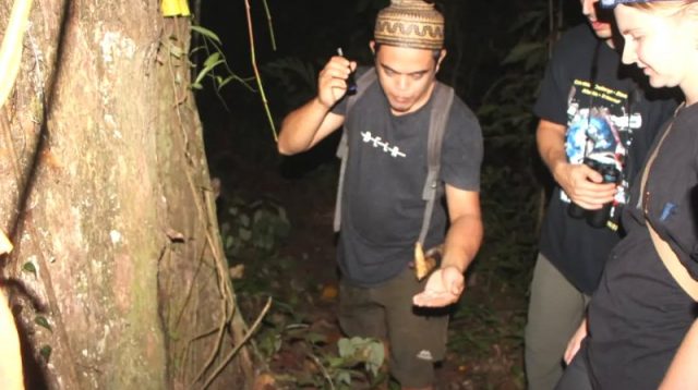 Taman Nasional Kutai