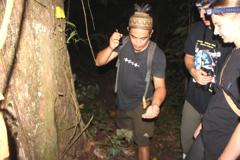 Taman Nasional Kutai