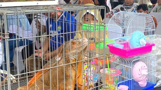 Sport Jabar Arcamanik