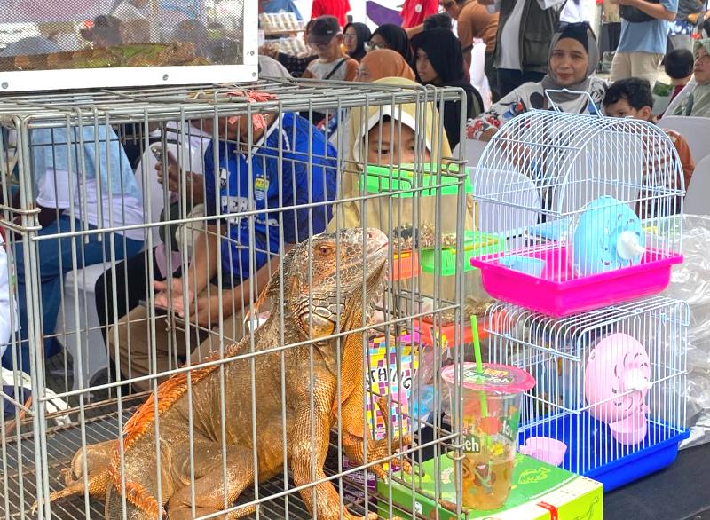 Sport Jabar Arcamanik