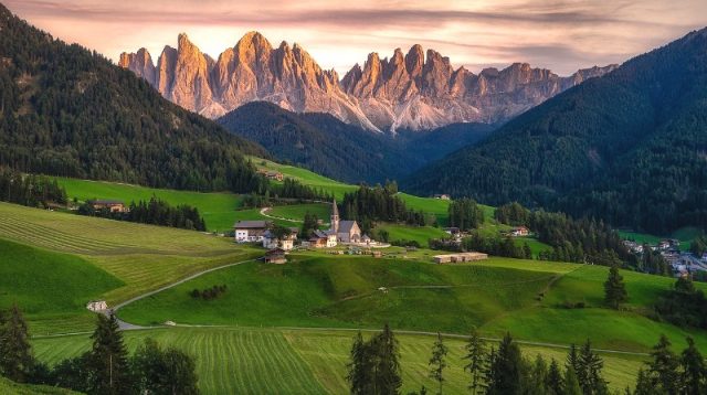 Popularitas yang meledak