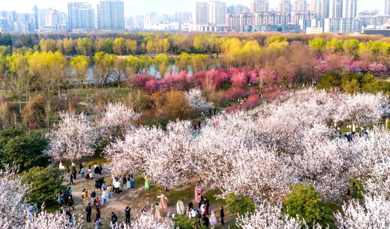 Daming Palace National