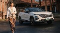 Chery Q