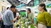 Pameran Teh di China China International Tea Expo